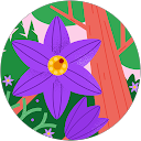 Maria V. profile picture
